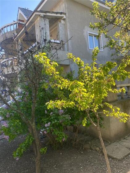 Vila P + 1 si  teren atat ptr.bussines cat si ptr locuit Onesti - 3