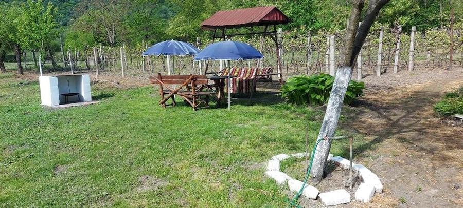 Vand casa ?i gradina - 2