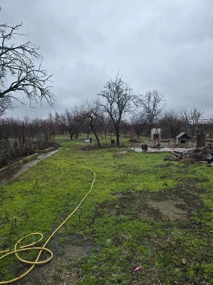 Vand casa plus anexa Tamaseu SC-200 mp , teren 3040 mp , gaz , la sosea , aproape strand - 13