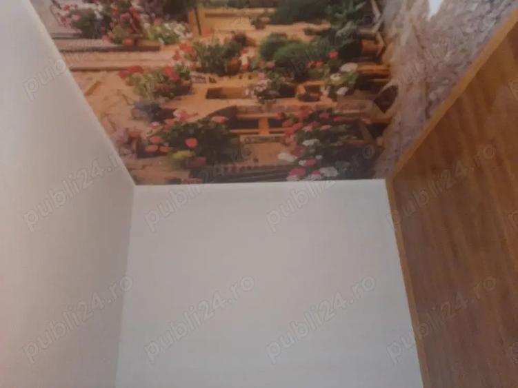 Apartament reziden?ial pretabil pt firma ?i locuinta - 5