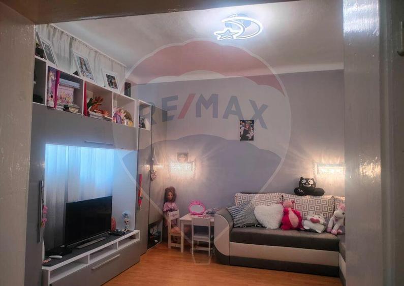 Casa la tara in satul Retis, comuna Bradeni, aproape de ... - 6