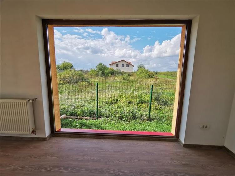 Vila Deosebita Rudicica - 19