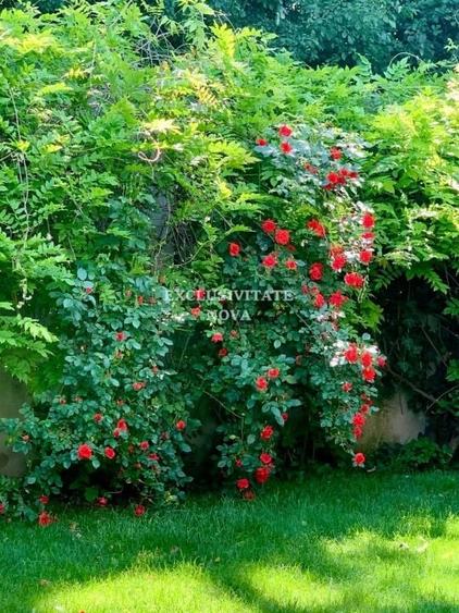 Vanzare Vila Baneasa - Willbrook - cu Deschidere la Padure ! - 9