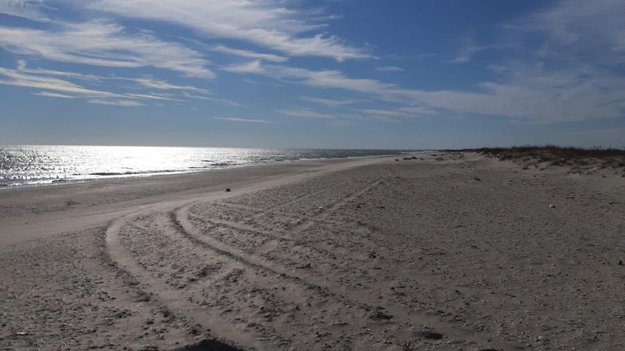 Teren 1000 mp - Plaja Vadu - 3