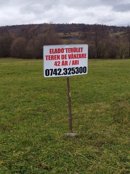 Teren de vanzare Sovata - 2