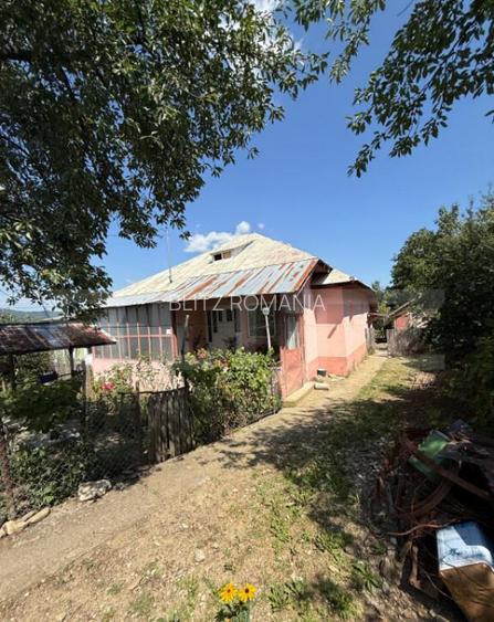 Casa cu teren 1000 m Drajna Casa cu teren 1000 m Drajna