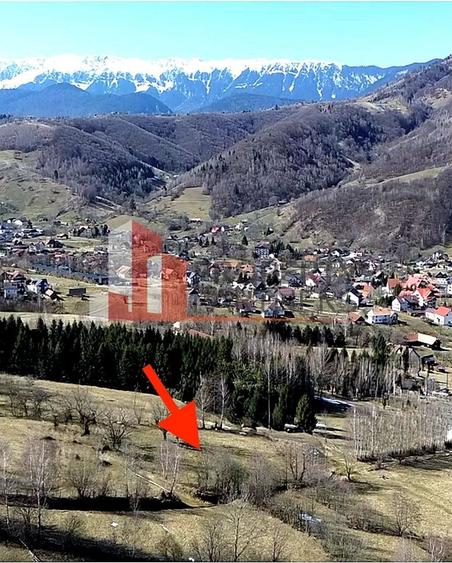 Teren Bran | 3.520 mp | Vedere Bucegi & Castelul Bran - 1