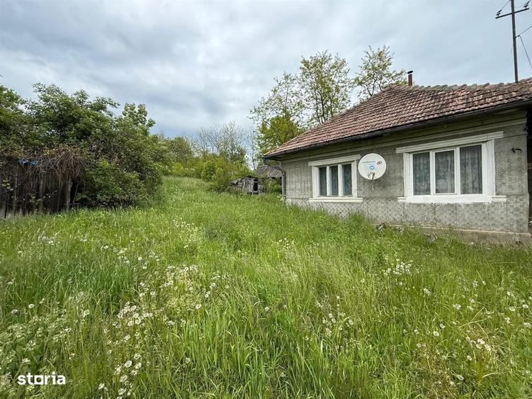 Casa la tara l teren 6600 MP l Aschileu Mare - 4
