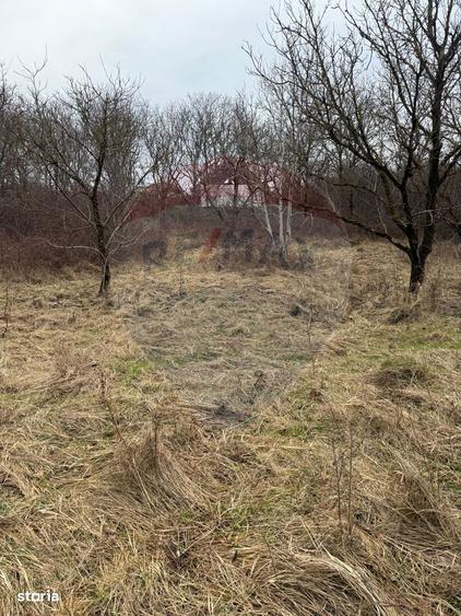 DE VANZARE Teren Strada Victoriei Baia Mare - 5