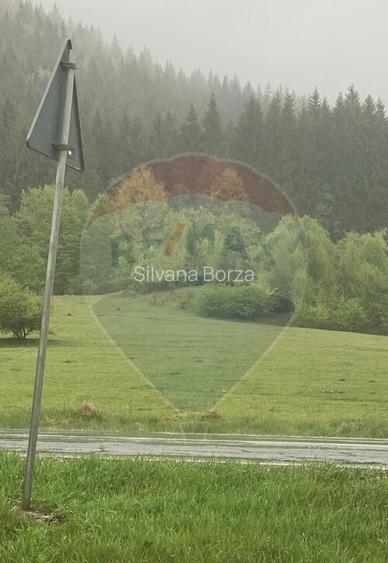 Teren de vanzare Sacele I Brasov - Oportunitate de invest...