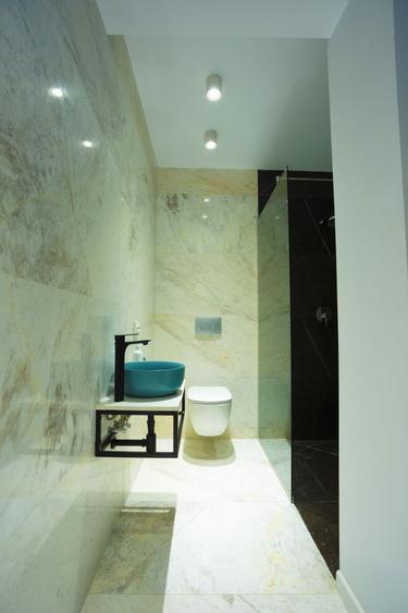 Vila Exclusivistă în Zona Iancu Nicolae – O Oportunitate Unică - 11