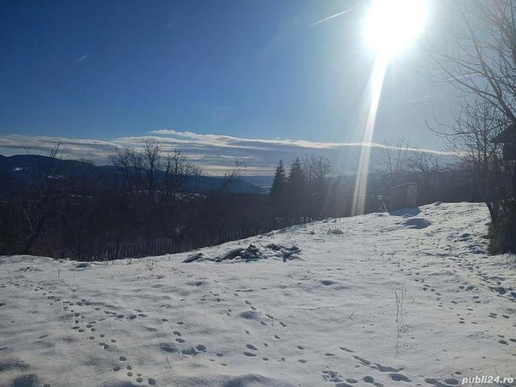 Teren + Casa Batraneasca Sat Serbanesti Salatrucel - 4