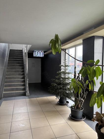 Garsoniera renovata de vanzare Vitan, zona Stadion Olimpia parter 28,30 mp + logie - 4