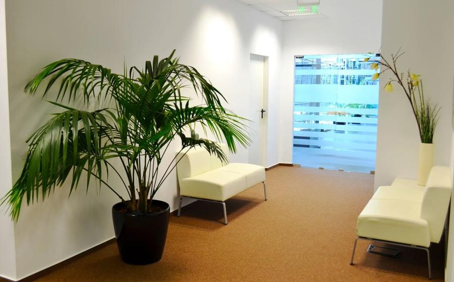 De inchiriat spatiu de birouri Baneasa Comision 0% - 7