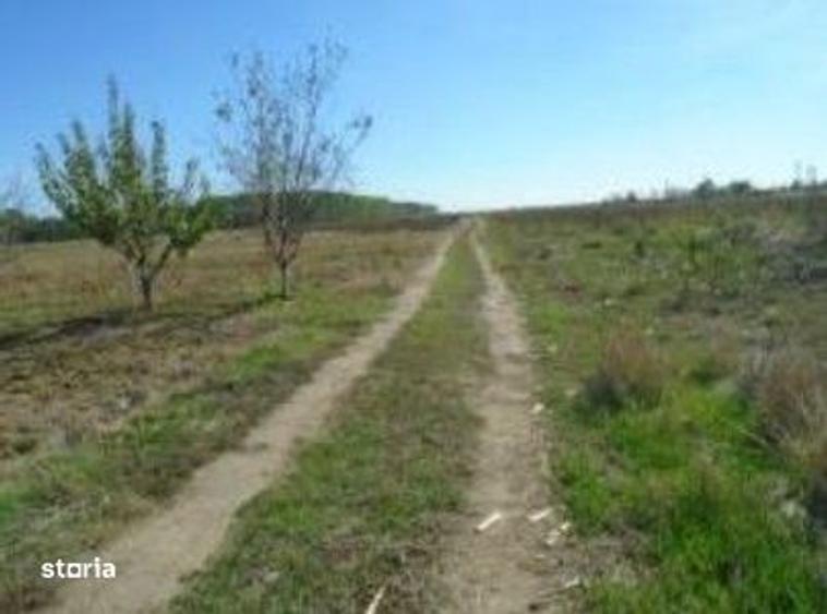 Teren Branceni, ID: R2942560 - 7