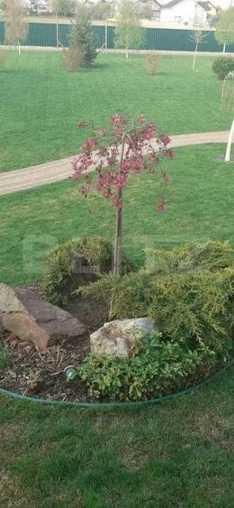 Casa/Vila 236 mp utili, 2743 mp teren, zona Mereni - Salcea - 14