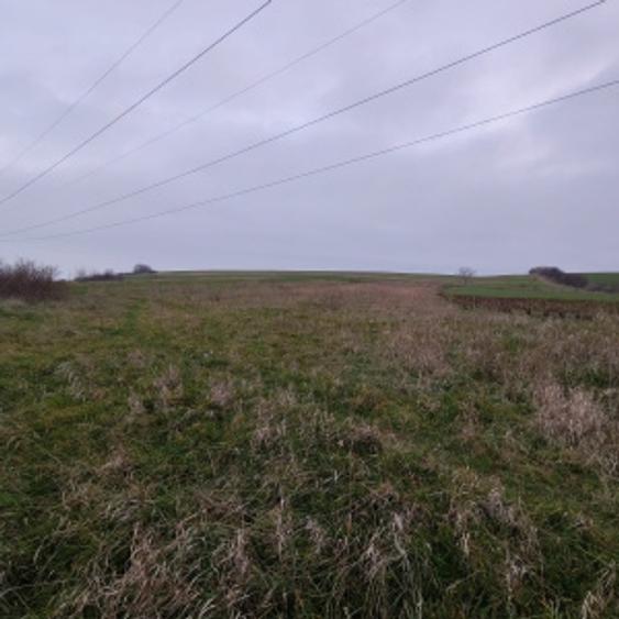 Teren extravilan, 4760 mp - zona Ghercesti - 3