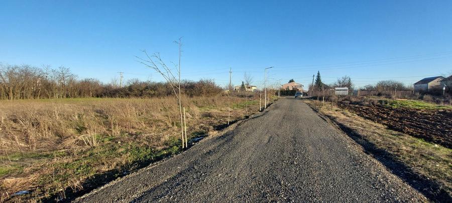 Teren de vanzare Dragomiresti Deal - 6