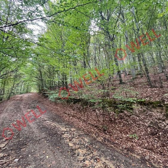 Teren agricol extravilan de 20 mp, în Dalnic