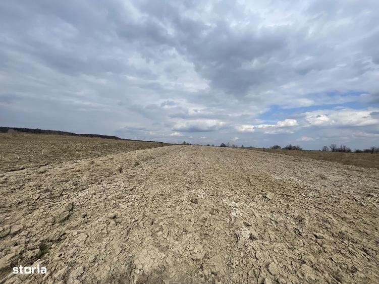 TEREN EXTRAVILAN | 23 ARI | HORODNIC DE SUS - 2