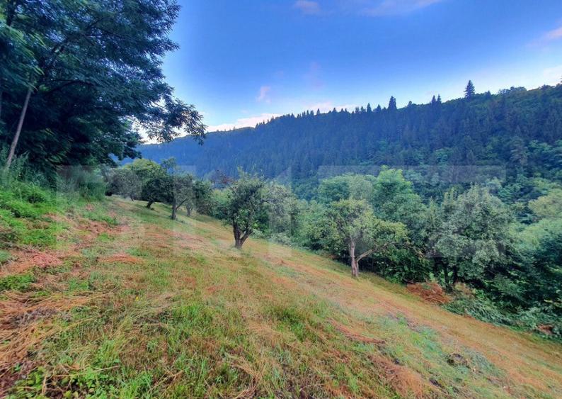 Teren intravilan, 31 ari, Ilva Mica, zona montana - 9