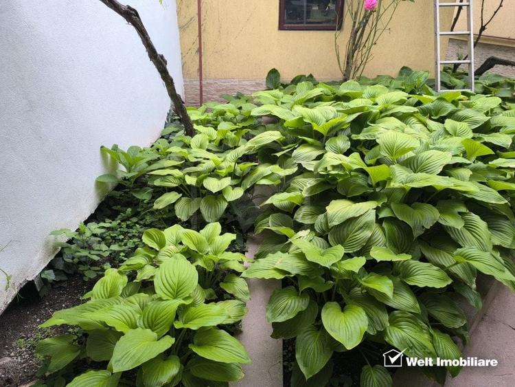 Casa indiv. 3 cam., 96 mp utili, zona P-ta Mihai Viteazul, strada linistita - 7