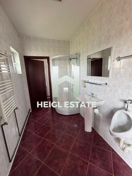 Proprietate ideala pentru echipe de muncitori - 11