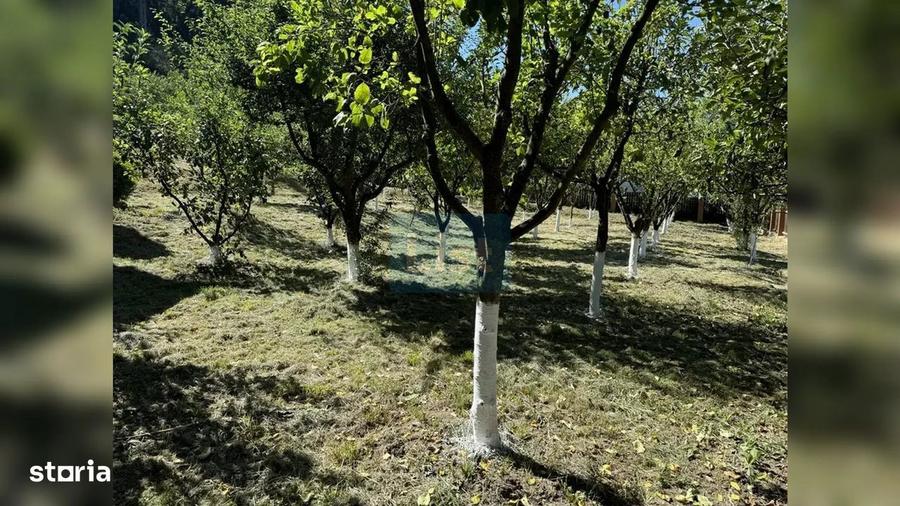 COMISION 0%! Casa 140 mp, teren 4500 mp, Mice?ti - 2