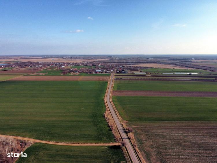 Ferma si livada de meri in judetul Ilfov - 3