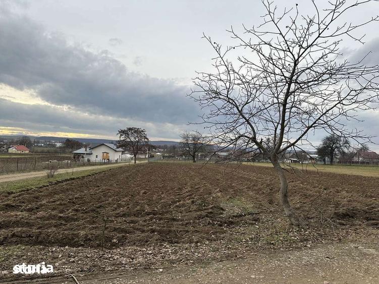 Teren intravilan in Mitoca?i 67500 euro - 5