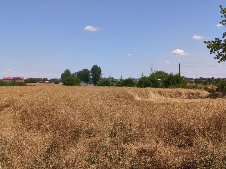 Teren 441 mp cu Utilitati la Lot si PUZ - Achizitie in Rate - 3