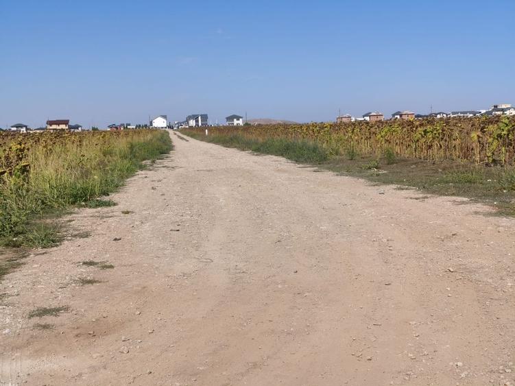 Teren Intravilan 552 mp, Utilitati la Lot, Sistem de Rate - 2