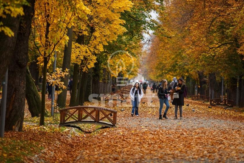 Apartament 2 camere decomandat Parcul Central - 12