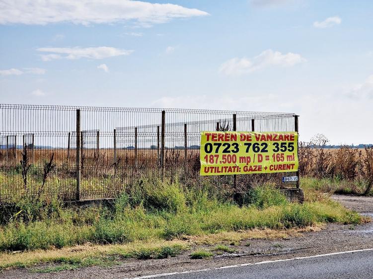 Teren intravilan- ALLEGRIA/ DN4 Glina 187500 mp - 1