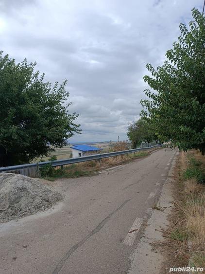 Teren cu casa batraneasca Comuna Baneasa - 6