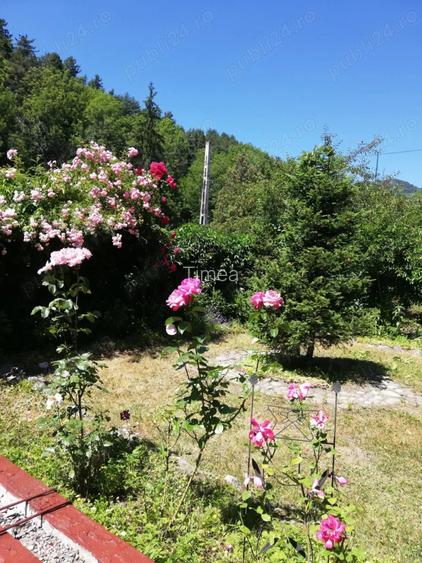 Apartament in casa tip vila, cu curte proprie Apartament in casa tip vila, cu curte proprie