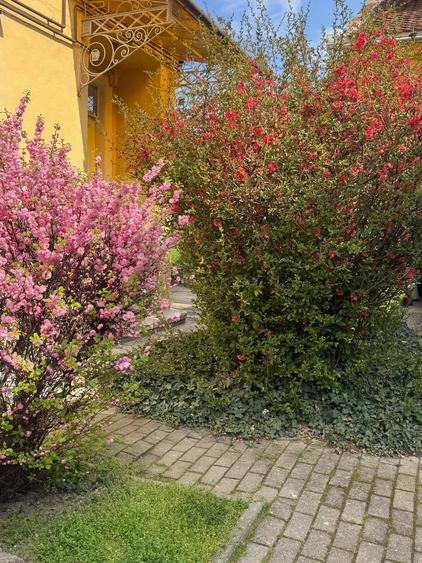 Doua camere plus spatii comune in cladire istorica - 10