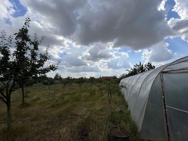 Casa Individuala Becicherecu Mic P+M,3 Camere,2 Bai,Teren 3400 mp,F.s 35m - 5