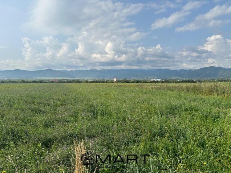 Teren extravilan 4800mp acces auto, Cristian - 2