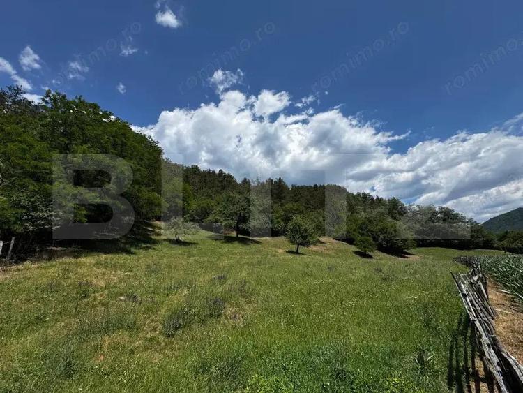 Casa cu 6000 mp teren, Poiana Ampoiului - Metes - 6