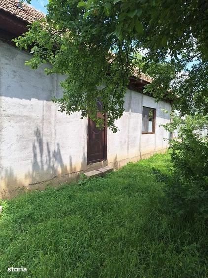Muta-te la tara: teren 2500 mp, gradina si casa aproape de Bucuresti - 5
