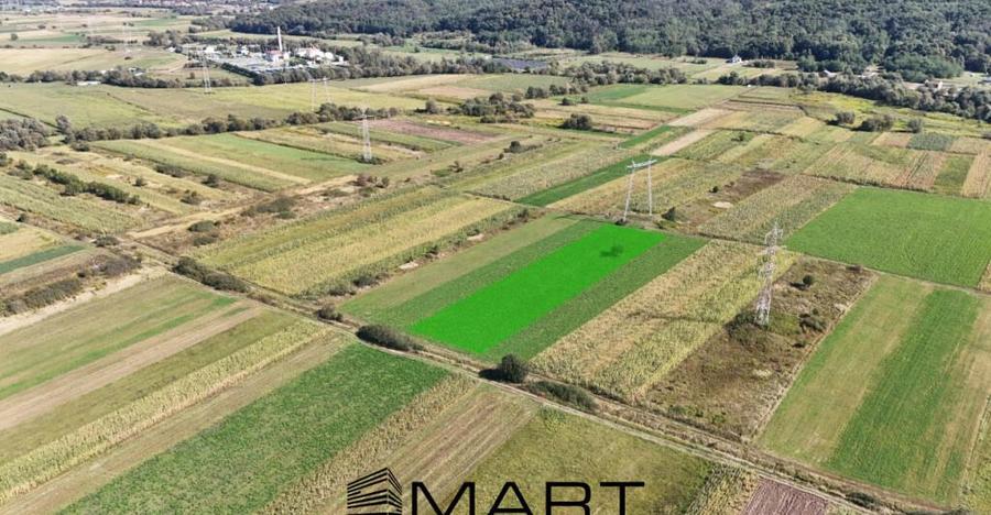 Teren extravilan de vanzare 5000 mp, ?elimbar (Mohu) - 3