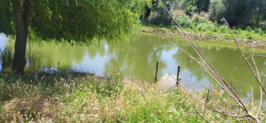 Delta Dunarii, Baltenii de Jos, casa batraneasca, teren 1500mp - 3