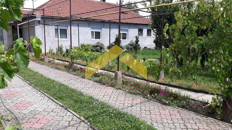 Casa de vanzare zona Gradiste - 10