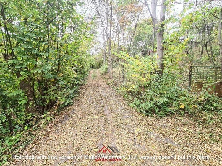 Teren intravilan in Provita de Jos 14.340 mp-- 90.000 e - 5