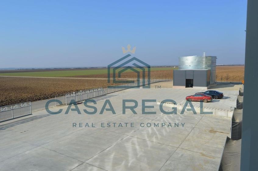 Hală industrială 7100mp – locație strategică - Biharia - zona metropolitană - 17