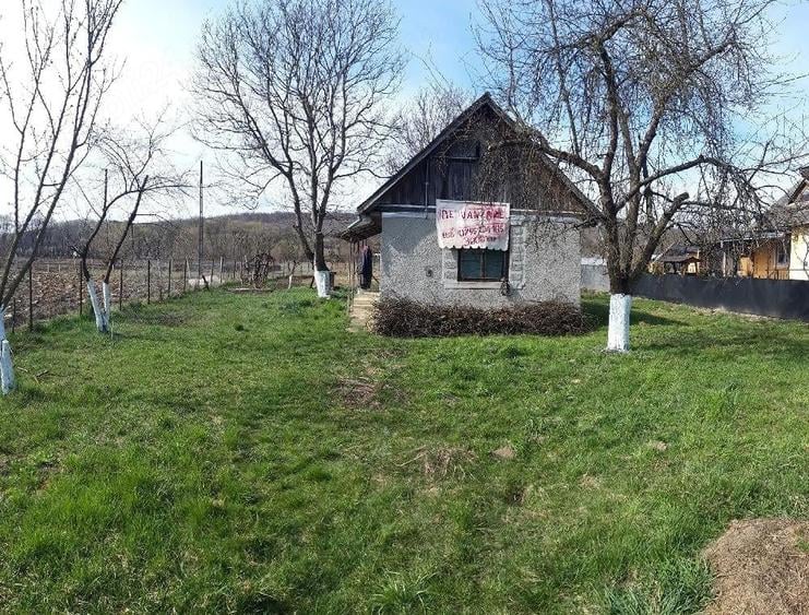 Teren intravilan cu casuta - 6