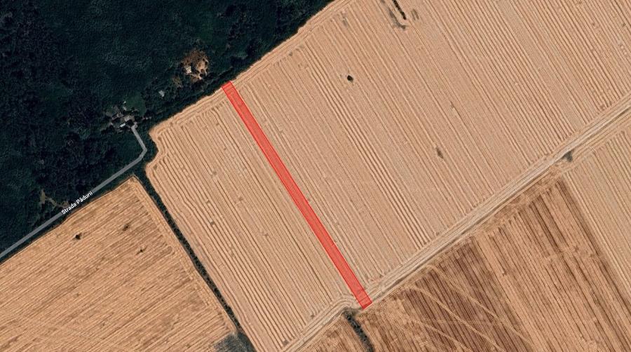 Teren intravilan Buftea 9993mp - 1