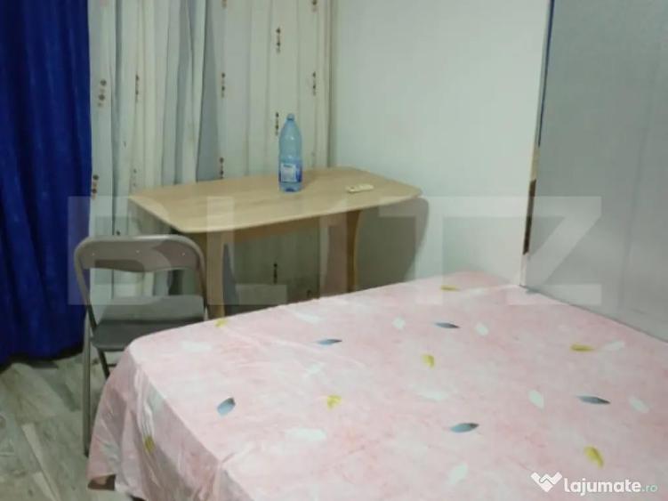 Camera de camin, 17 mp, zona Nicolina - 2