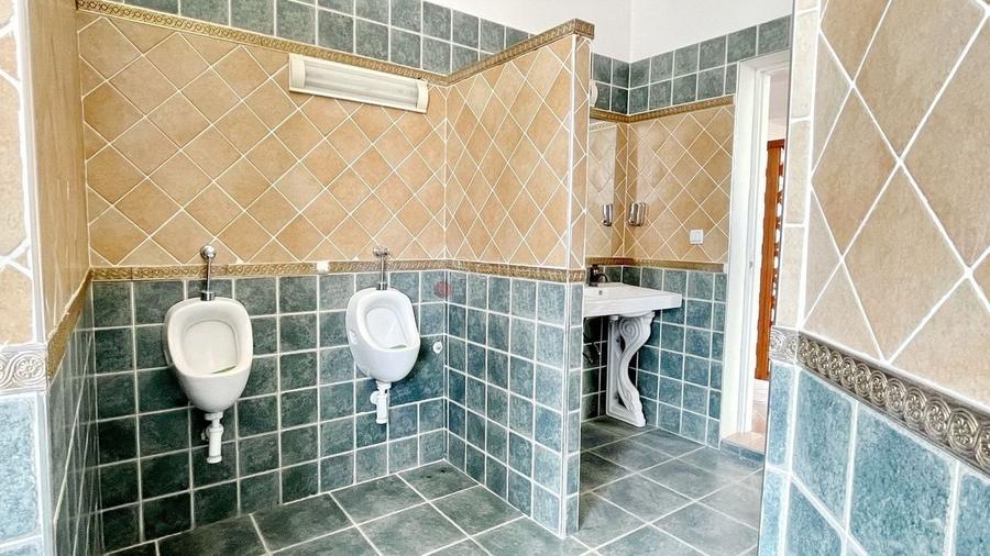 Spatiu Comercial cu Multiple Posibilitati de Exploatare - 21